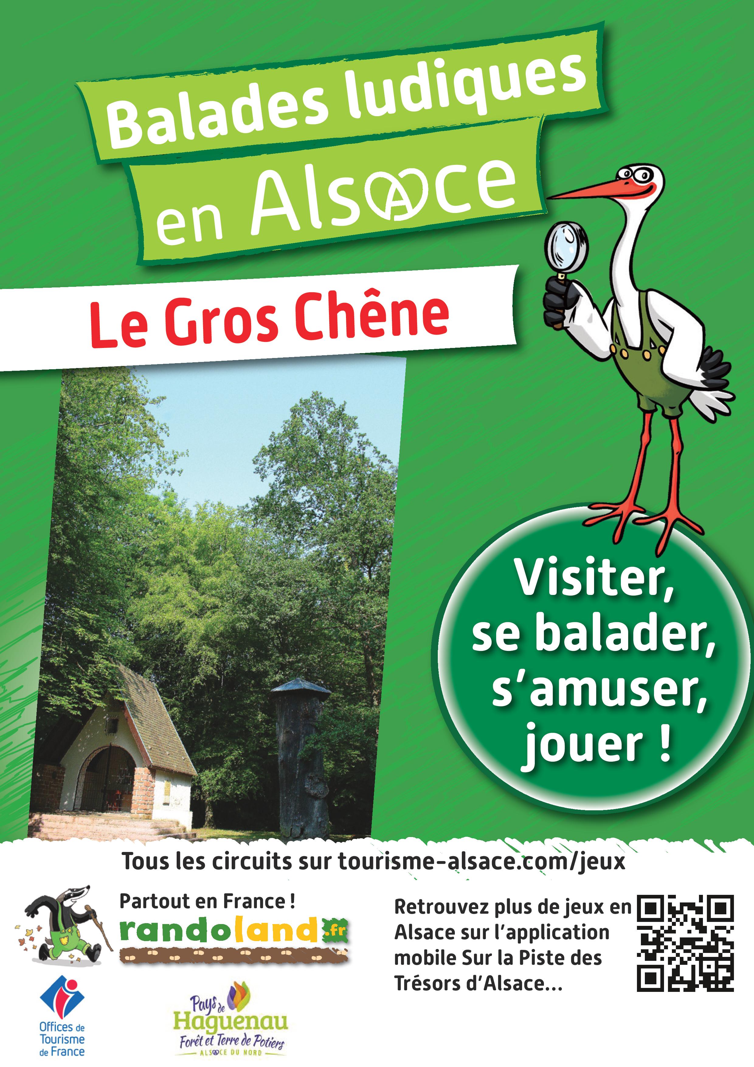 Gros-Chêne walk