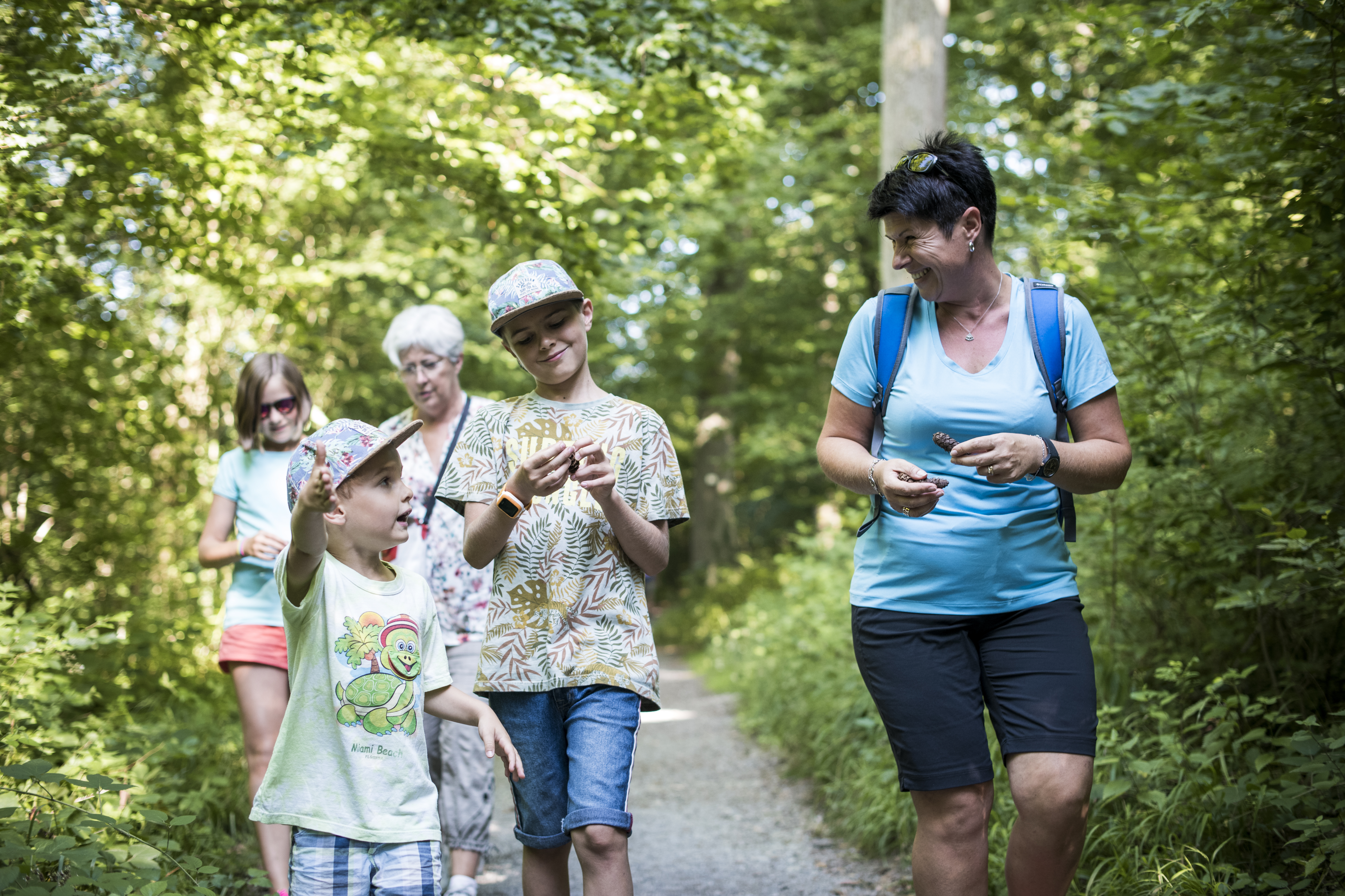 wandelingen