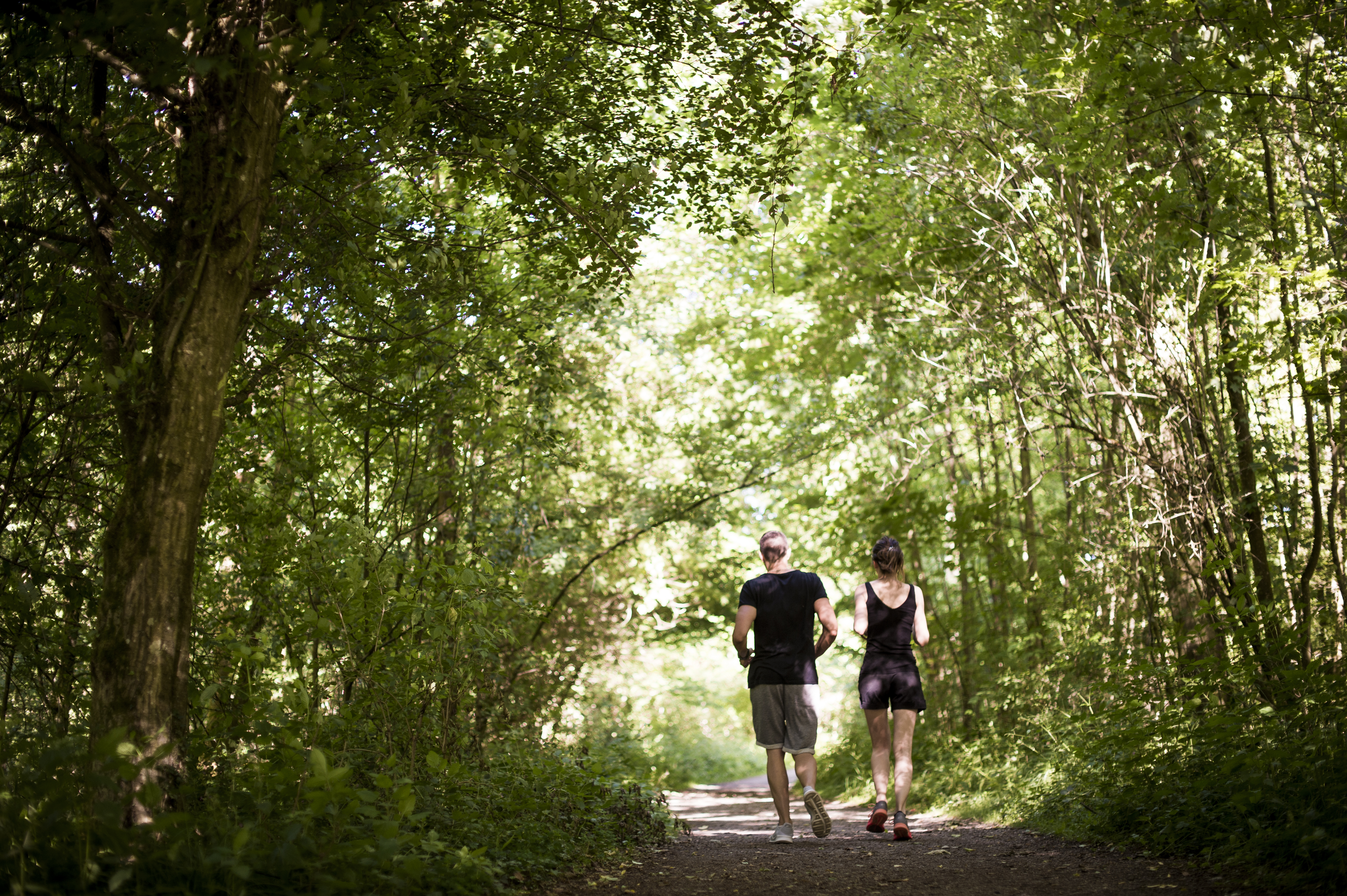 Forêt