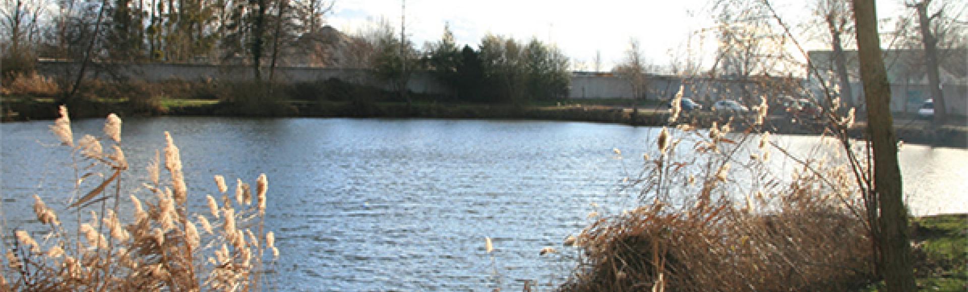 The gravel pit hiking trail in Bischwiller