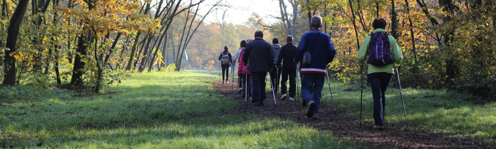 Het wandelpad van Ried naar Bischwiller met wandelaars