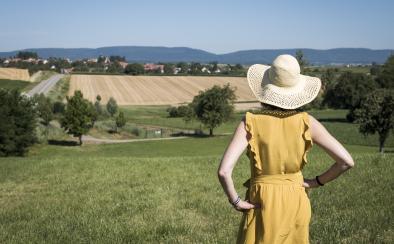 Paysages depuis l'Outre-Forêt 