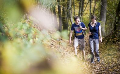 Wandelen in het Pays de Haguenau, wandelen