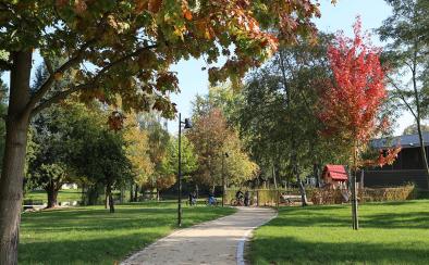 Bischwiller, der Trame Verte Trail