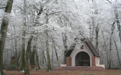 Saint-Arbogast kapel in Gros Chêne