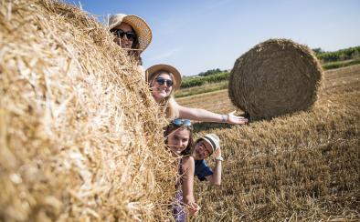 Live the summer in the country of Haguenau!