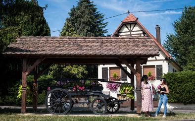 Wagen Sie eine Reise ins nördliche Elsass