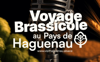 Découvrez les brasseries du Pays de Haguenau