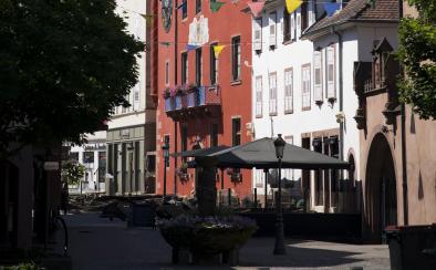 © Cyrille Fleckinger