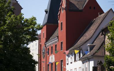 © Cyrille Fleckinger