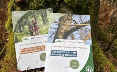 Les nouveaux livrets de jeux du sentier de découverte en forêt de Haguenau