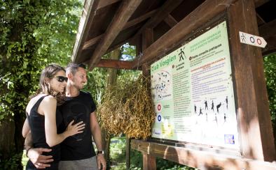 Randonnée en forêt de Haguenau ©Cyrille Fleckinger