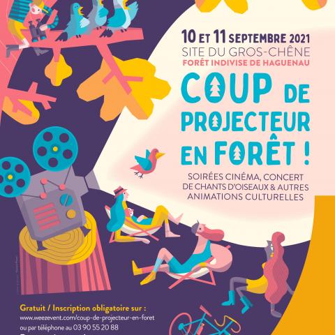 Coup de projecteur en forêt