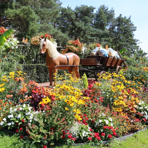 Blüte in Bischwiller