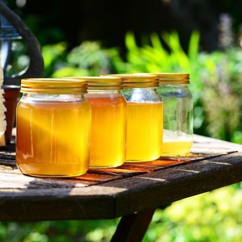 Extraction du miel