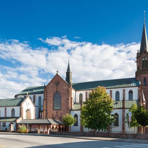 Mariental Basiliek ©TMT Foto