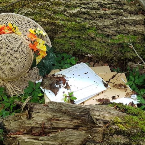 La forêt au cœur des mots 