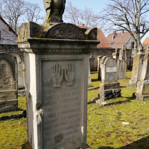 Guided tour of the Jewish cemetery