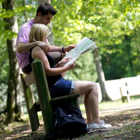 Forêt de Haguenau, plan des balades