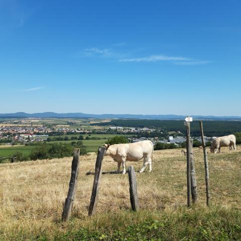 Le circuit des collines