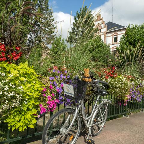 Fishermen's wharf - Haguenau - Denis Merck