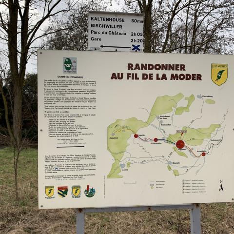 Hiking in the Fil de la Moder, Haguenau