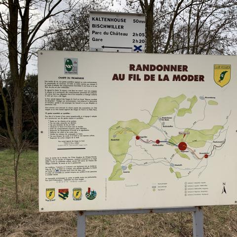 Randonner au Fil de la Moder, Haguenau