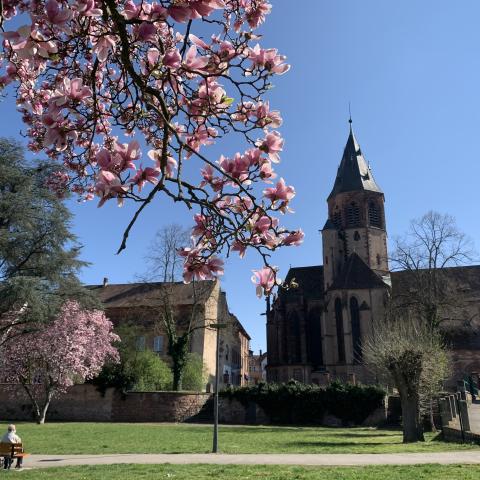 Saint-Georges-Haguenau-Kirche