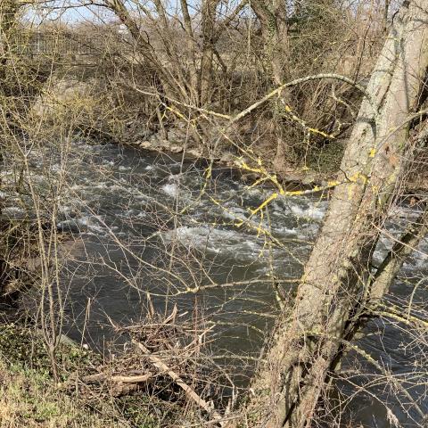 Wandelen in de Fil de la Moder, Haguenau