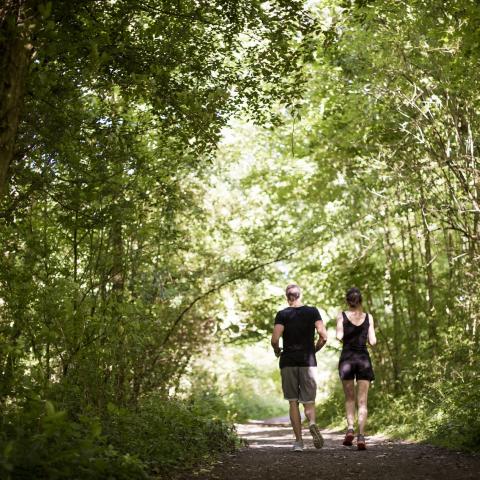 Haguenau-Spaziergang im Wald ©Cyrille Fleckinger