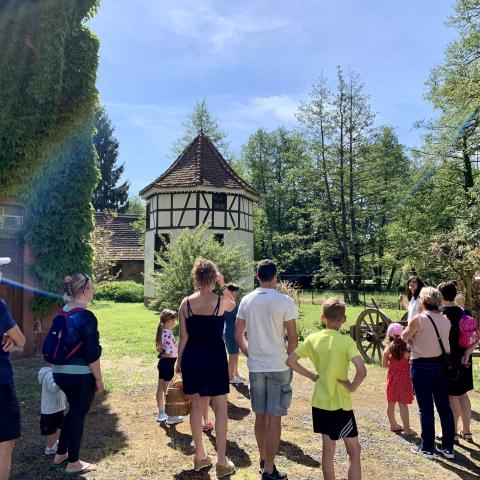 Walck korenmolen