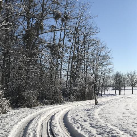 Verschneites Foto © Office Winter Season Trail
