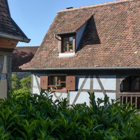 Bed and Breakfast - Briefe aus meiner Mühle