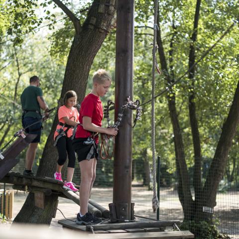 Accrobranche - Alsace fun