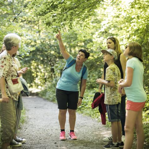 Visite guidée des trésors cachés en forêt de Haguenau