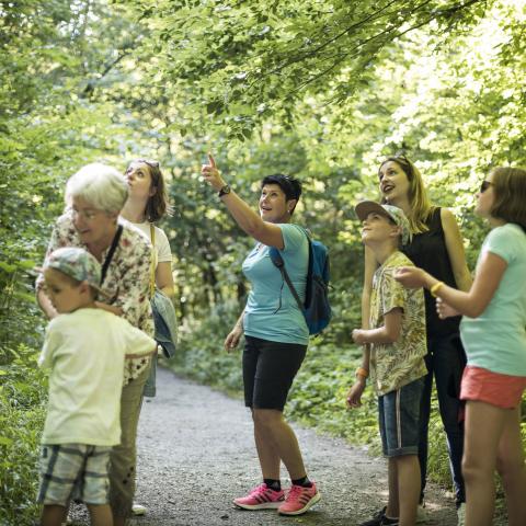 Visite guidée des trésors cachés en forêt de Haguenau