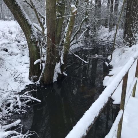 Bevroren rivier © Winterseizoen kantoor