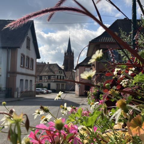 Blüte im Val de Moder