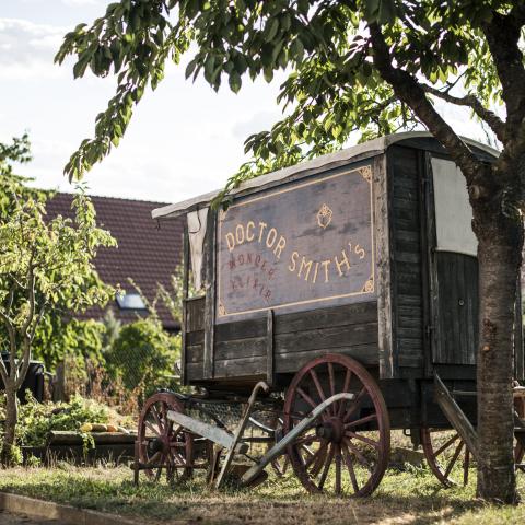 Stal van de berg - Cyrille Fleckinger