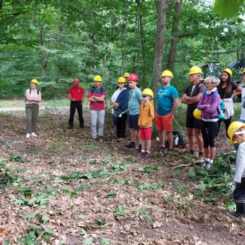 In de schoenen van een houthakker-Haguenau Forest - VVV-kantoor