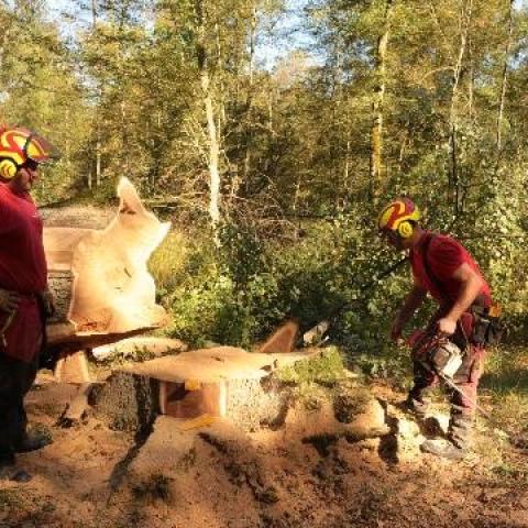 In den Schuhen eines Holzfällers © A.Viaud, ONF