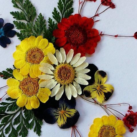 Workshop für Halloween-Blumencollagen