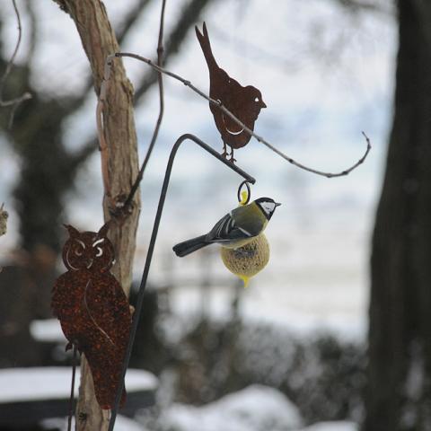 Winter nature