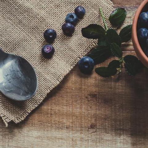 Ferme Brandt Arbogast - Discovery around the blueberry