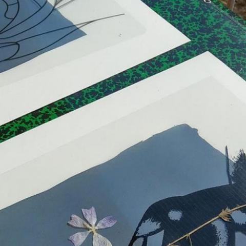 Atelier d'initiation au cyanotype