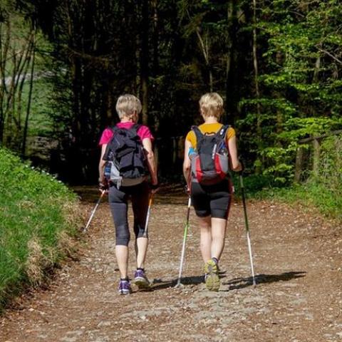 Gastronomische wandeling