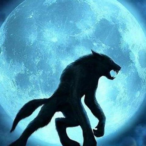 Loup garou