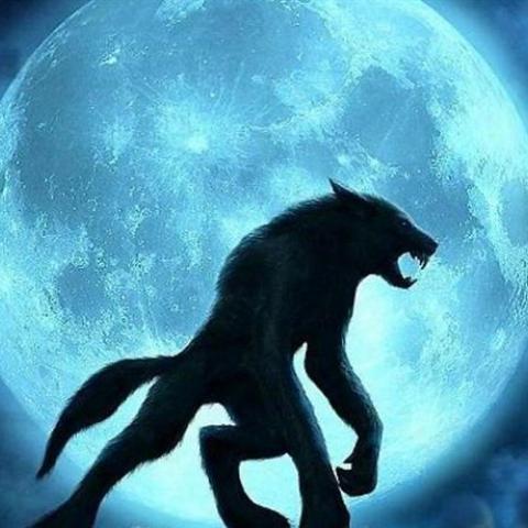Loup garou