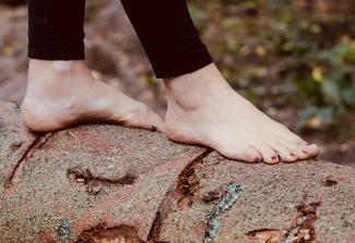 Sylvotherapie ©Valérie Waechter, Der Wald selbst