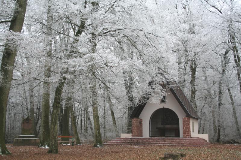 Saint-Arbogast chapel at Gros Chêne